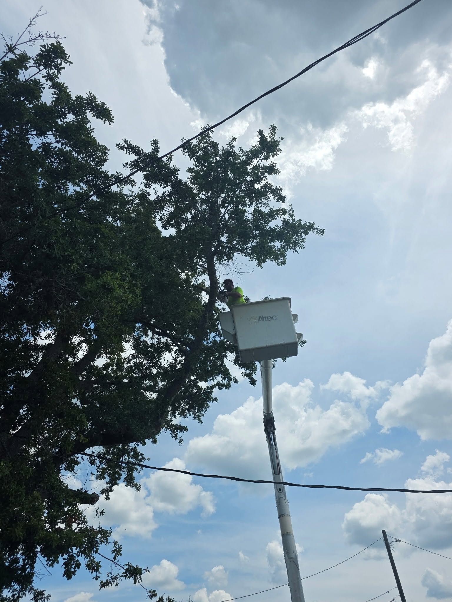 H&L team member trimming branches from a bucket truck