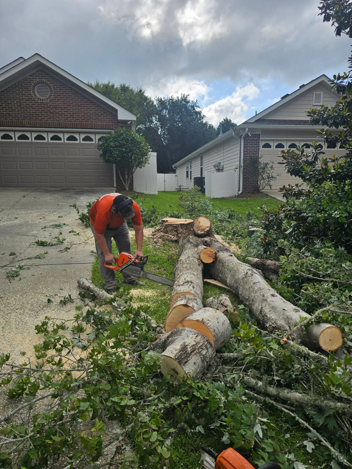 H&L crew cutting a large fallen tree trunk