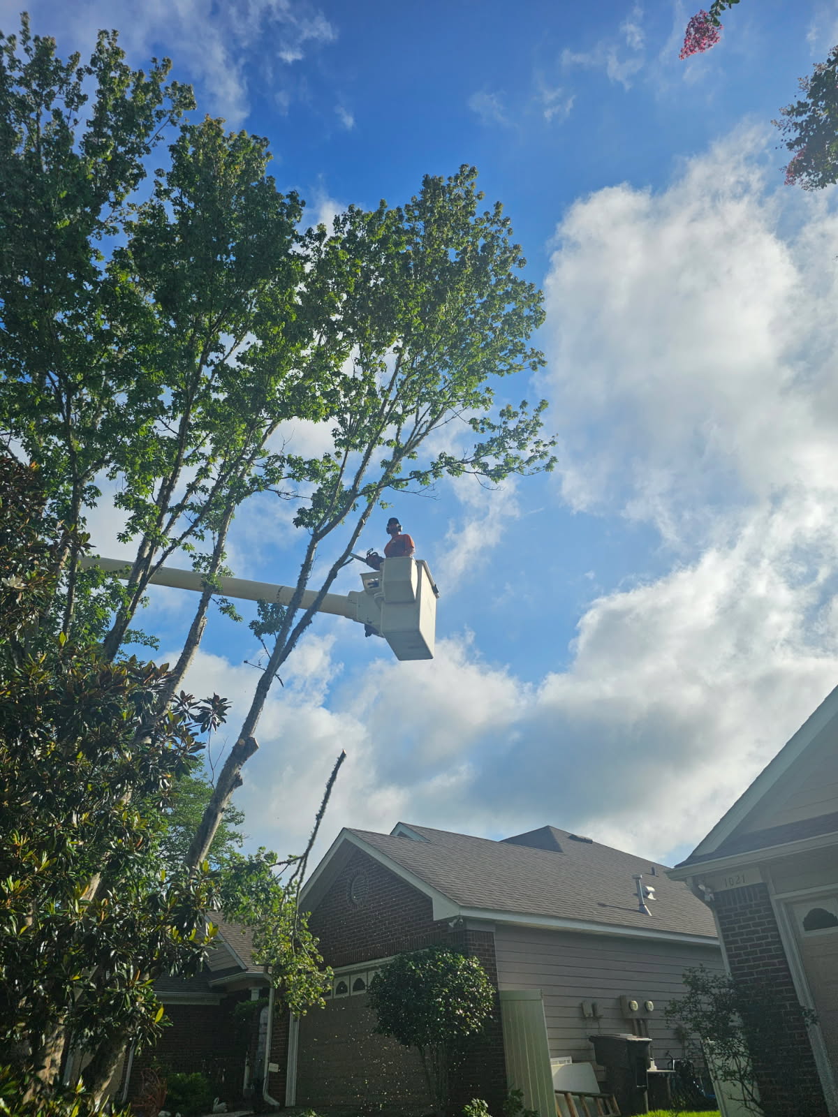 H&L bucket positioned beside a residential tree