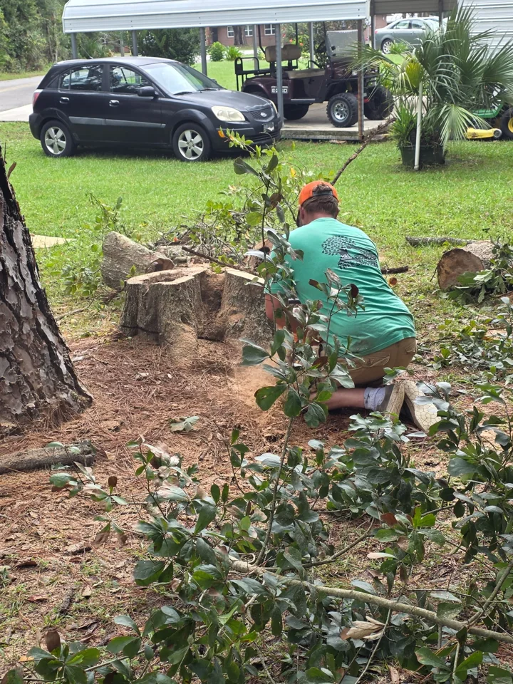 H&L crew member working among cut logs and branches beside a home