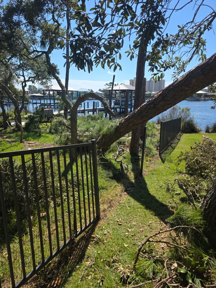 Angled broken trunk extending over a fence toward a waterfront yard